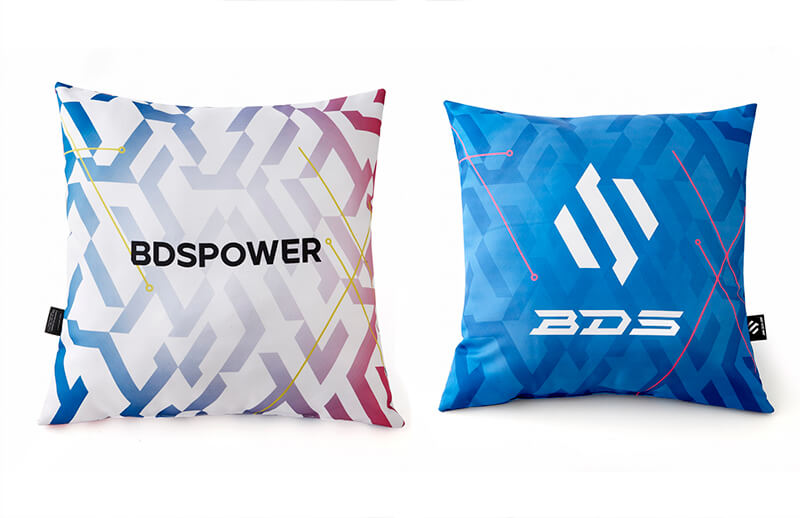 Team BDS Rebrand Cushions © Team BDS store
