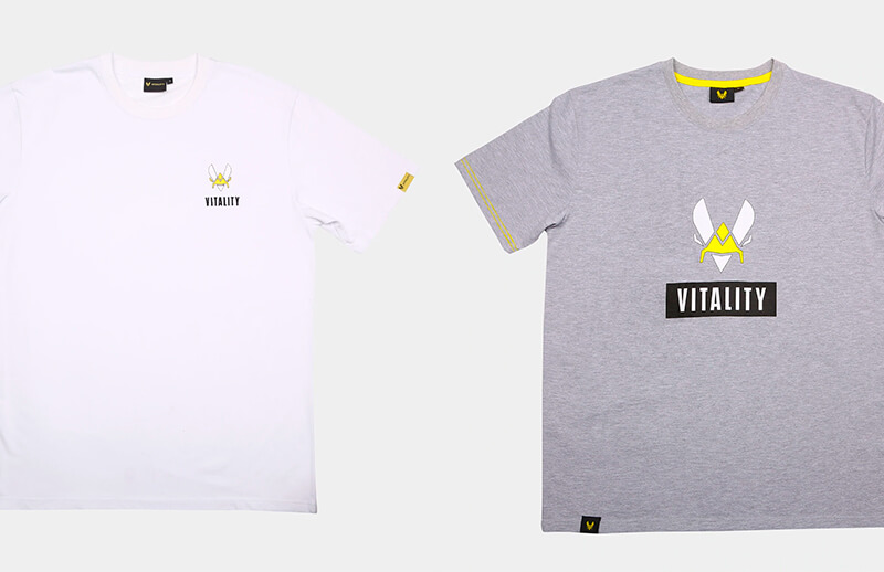 Team Vitality Summer 2022 Grey and White T-shirts © Team Vitality shop