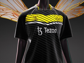 Team Vitality x Hummel 2023 Pro Jersey © Team Vitality shop