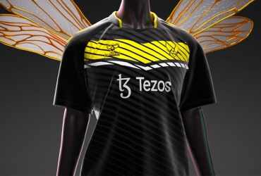 Team Vitality x Hummel 2023 Pro Jersey © Team Vitality shop